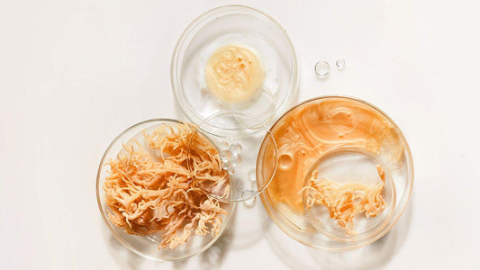 What Are the Skincare Benefits of Sea Moss? - Anything Skins